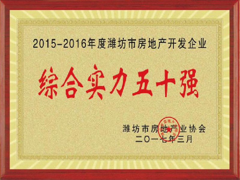 2015-2016年度濰坊市房地產(chǎn)開(kāi)發(fā)綜合實(shí)力50強(qiáng)企業(yè)