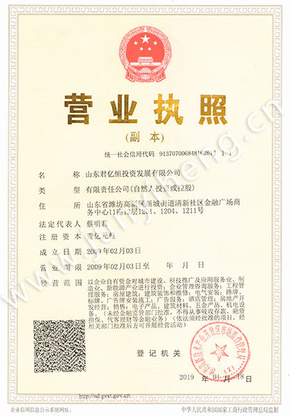 山東君億恒投資發(fā)展有限公司